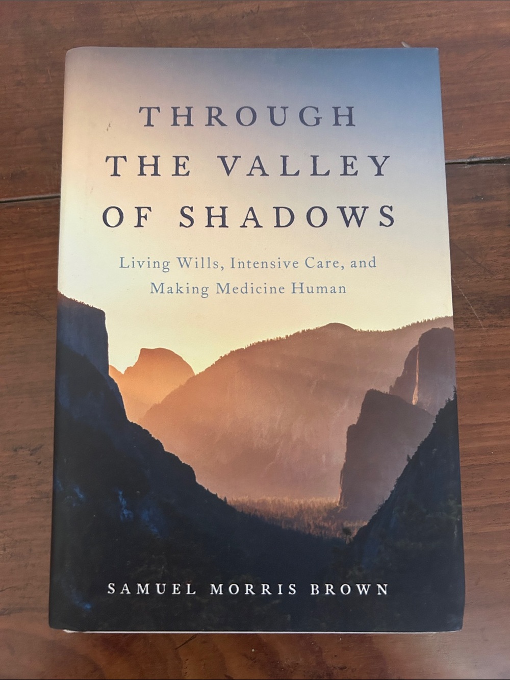 Through the Valley of Shadows by Samuel Morris Brown
